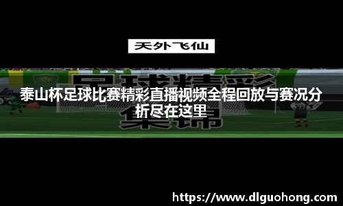 泰山杯足球比赛精彩直播视频全程回放与赛况分析尽在这里